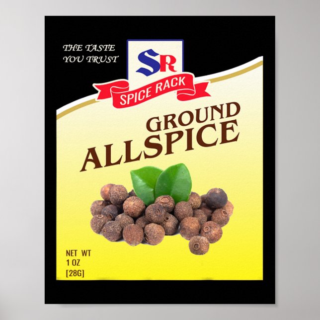 Póster Disfraz de Halloween de Alspice terrestre Diversió (Frente)