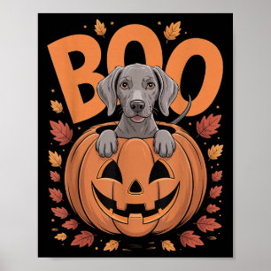 Póster Disfraz de Weim en calabaza Halloween Weimaraner