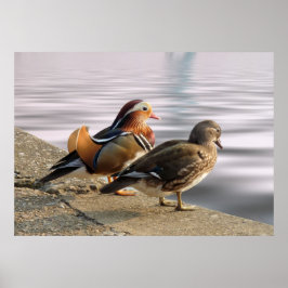 Póster ¡Disfrutando de una velada tranquila!