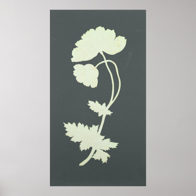 Póster Disparo (Frente)