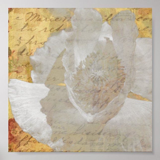 Póster Disparo (Frente)