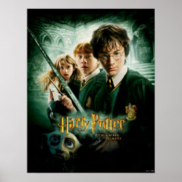 Póster Disparo del grupo Harry Potter Ron Hermione Dobby
