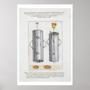 Póster Dispositivo para replantar flores, de 'Hortus Flor