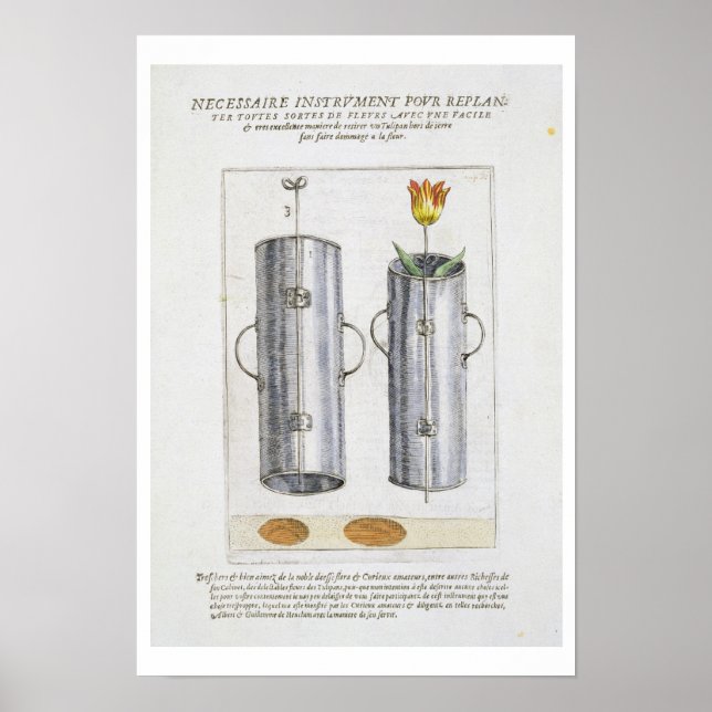 Póster Dispositivo para replantar flores, de 'Hortus Flor (Frente)