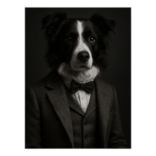 Póster Distinguished Border Collie in Suit & Bowtie