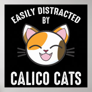 Póster Distracción fácil por gatos de Calico