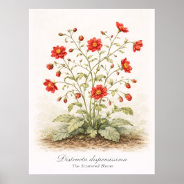 Póster Distracta dispersissima - The Scattered Bloom