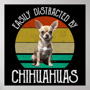Póster Distrado Fácilmente Por Chihuahuas