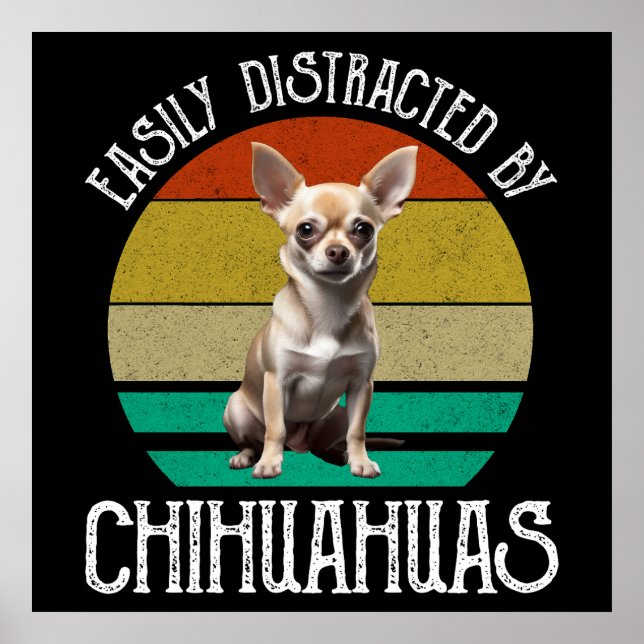 Póster Distrado Fácilmente Por Chihuahuas (Frente)