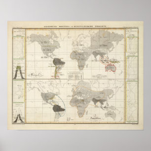 Póster Distribution of birds and amphibians
