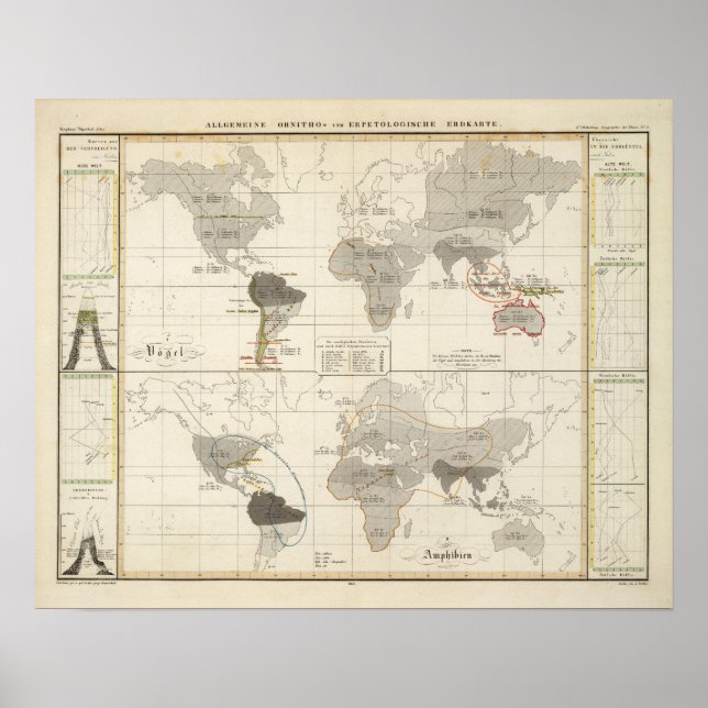 Póster Distribution of birds and amphibians (Frente)