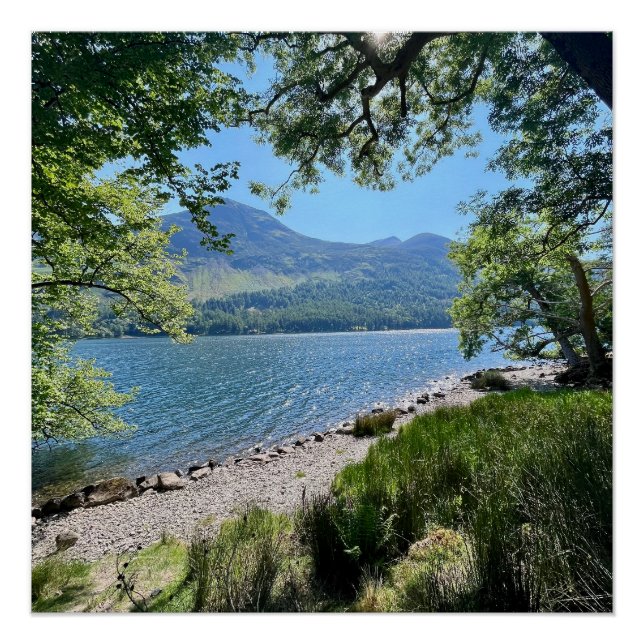 Póster Distrito de Lake (Anverso)