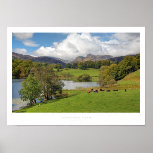 Póster Distrito de Loughrigg Tarn, Lake