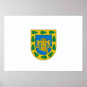 Póster Distrito Federal de México