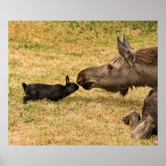 Póster Diversidad (Frente)