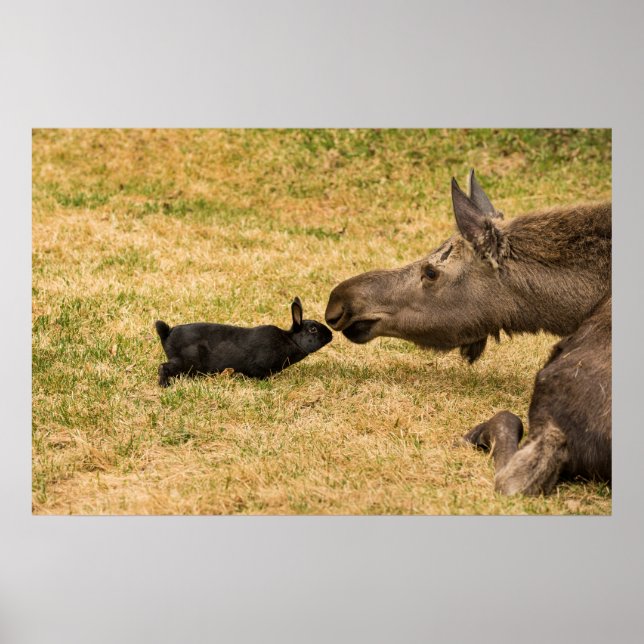 Póster Diversidad (Frente)