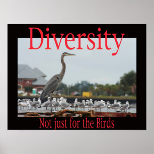 Póster Diversidad, no apenas para los pájaros