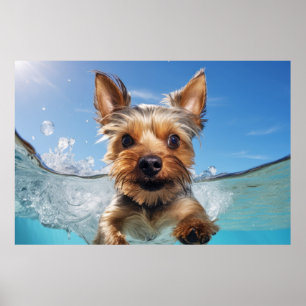 Póster Diversión animal del perro del Mascota Terrier de 