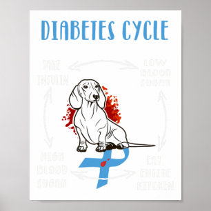 Póster Diversión Dachshund Ciclo de vida diabético Diabet