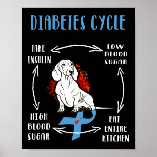 Póster Diversión Dachshund Ciclo de vida diabético Diabet