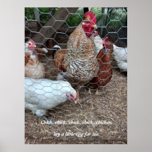 Póster Diversión de pollo de pollo de pollo de pollo