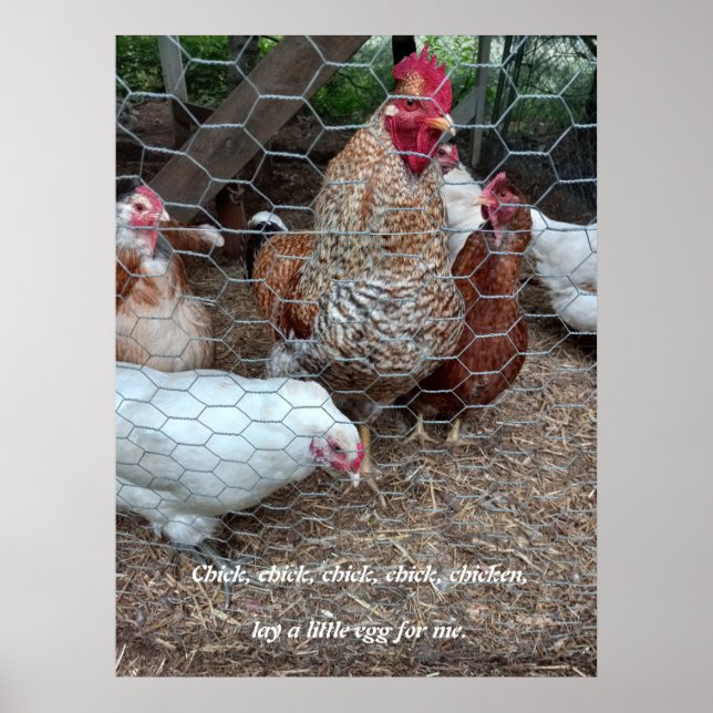 Póster Diversión de pollo de pollo de pollo de pollo (Frente)