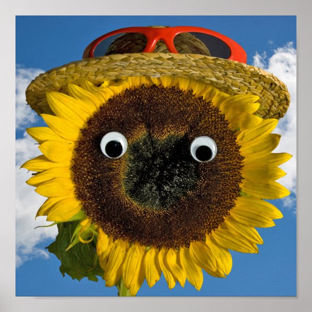 Póster Diversión de verano del girasol (Frente)