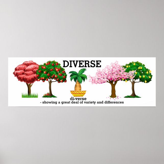Póster DIVERSO - Poster vocabulario (Frente)