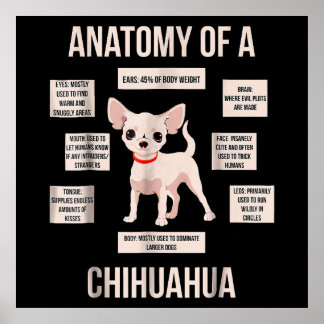 Póster Divertida Anatomía De Regalo De Cachorro De Un Chi