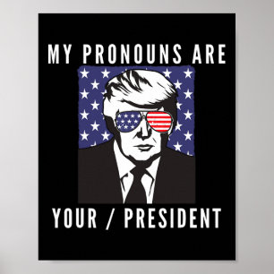Póster Divertida bandera estadounidense de Trump pronombr