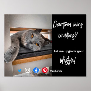 Póster divertida postal inmobiliaria gatos vivos hacinado