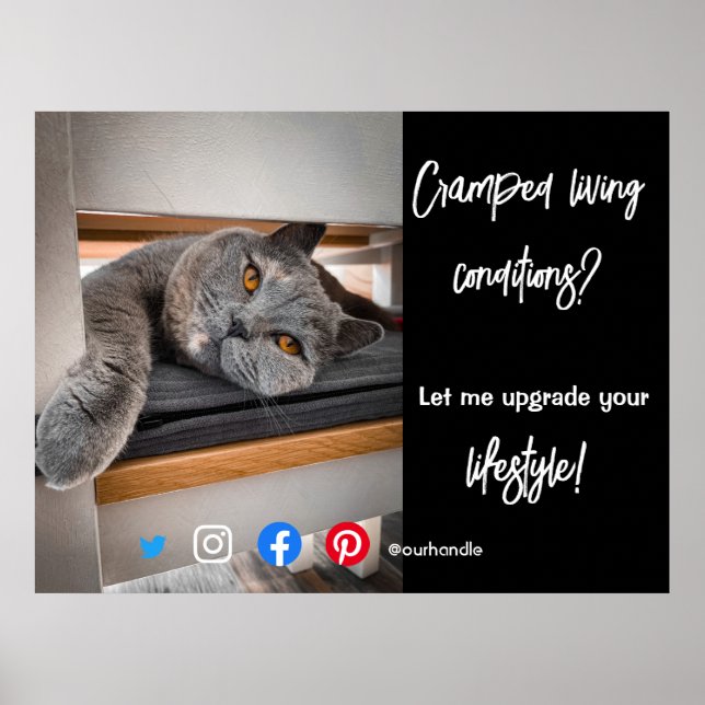 Póster divertida postal inmobiliaria gatos vivos hacinado (Frente)