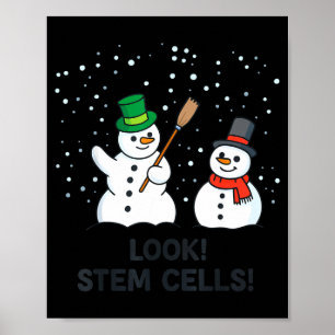 Póster Divertida Química Navidad Profesor de Ciencias Loo