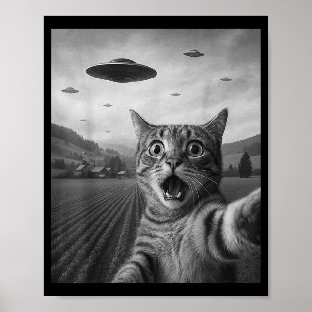 Póster Divertida Selfie De Gato Sorprendido Con Alien Ufo (Frente)