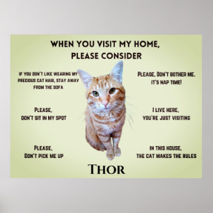 Póster Divertidas reglas de la casa (personalizadas con l