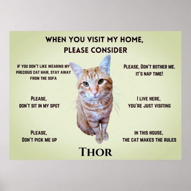 Póster Divertidas reglas de la casa (personalizadas con l (Frente)