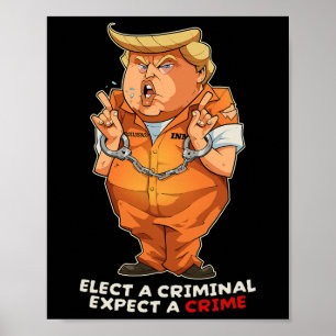 Póster Divertido Anti-trump Elige A Un Criminal Delitos D