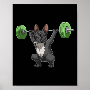 Póster Divertido Bulldog Francés Levantamiento de Pesas y