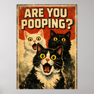 Póster Divertido de Gatos con Shock Humor de Bañ