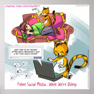 Póster Divertido de Gatos en Redes Sociales