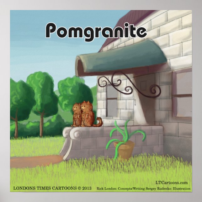 Póster Divertido de Pomerania Sobre Granito (PomGr (Frente)