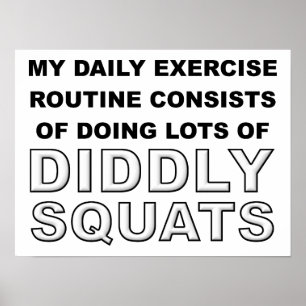 Póster Divertido Diddly Squats