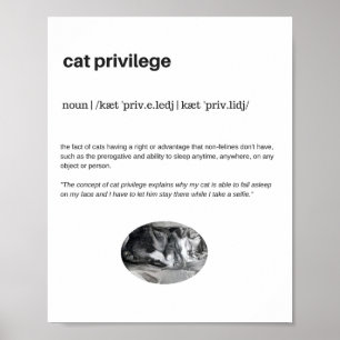 Póster Divertido gato privilegio sueño selfie poster matt