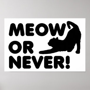 Póster divertido Meow o Nunca