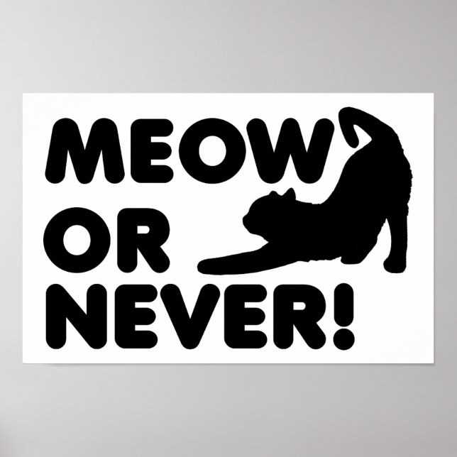 Póster divertido Meow o Nunca (Frente)
