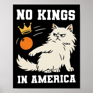 Póster Divertido No Reyes En Estados Unidos