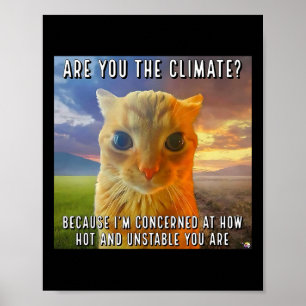 Póster Divertido Pareja San Valentín Naranja Cat Meme Ere