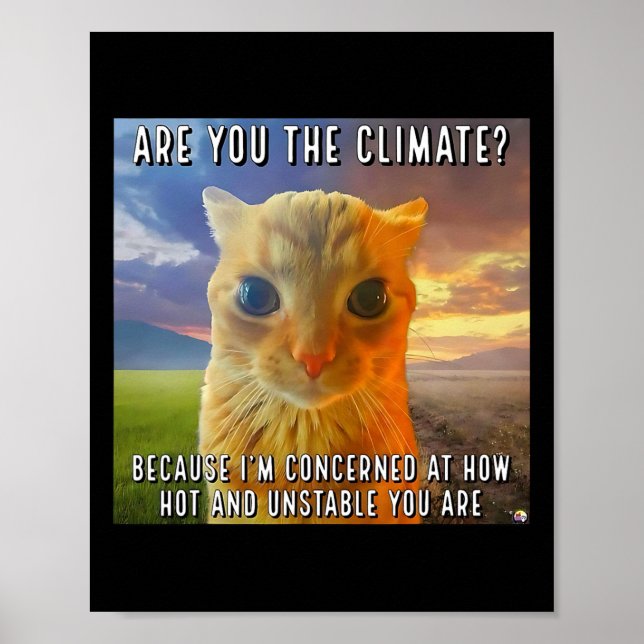 Póster Divertido Pareja San Valentín Naranja Cat Meme Ere (Frente)
