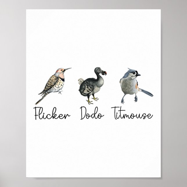 Póster Divertido parpadeo Dodo Titmouse (Frente)