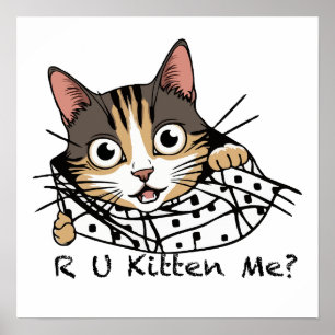 Póster Divertido Pegatina De La Búsqueda De Gatos - ¿Me E